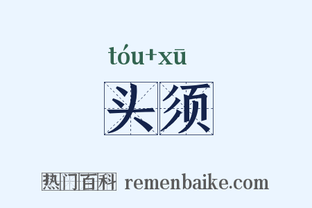 头须是什么意思的图片